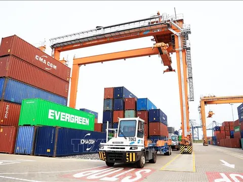 Xây dựng Nghị định sửa đổi quy định về quản lý hoạt động hàng hải