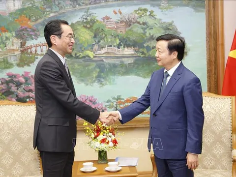 Việt Nam - Nhật Bản thúc đẩy cơ chế tài chính trong các dự án chuyển đổi năng lượng xanh