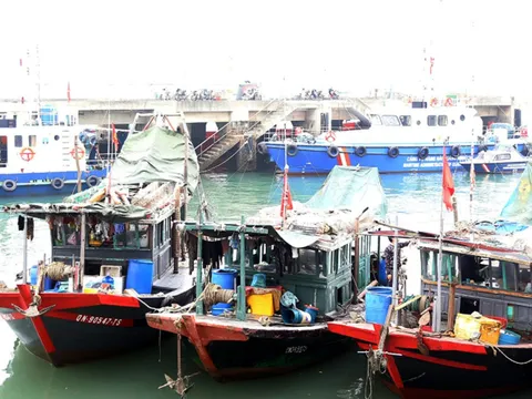 Liên tiếp bắt giữ tàu khai thác hải sản trái phép trên vịnh Hạ Long