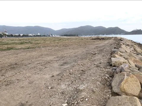 Rà soát nội dung dự thảo Nghị định về hoạt động lấn biển
