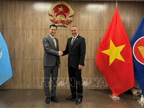 Việt Nam, Cuba hợp tác chặt chẽ trong các tiến trình quan trọng của LHQ