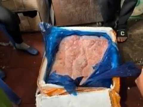 Hà Nội: Phát hiện trên 1 tấn thực phẩm không rõ xuất xứ