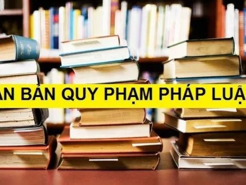 Đề xuất bãi bỏ toàn bộ 13 Nghị định của Chính phủ