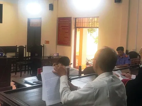 Chủ nhà hàng lĩnh án vì mua bình rượu có ngâm rắn hổ mang chúa về trưng bày