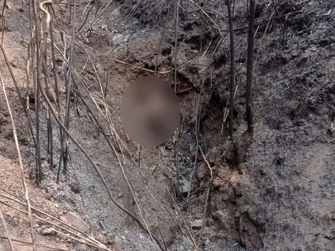 Điện Biên: Phát hiện thi thể 3 bố con chết cháy trong khe núi