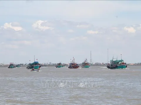 Tập trung thực hiện Chiến lược phát triển bền vững kinh tế biển Việt Nam