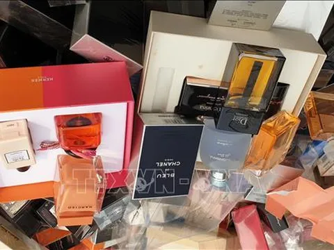 Sửa quy định về xử phạt vi phạm hành chính lĩnh vực sở hữu công nghiệp