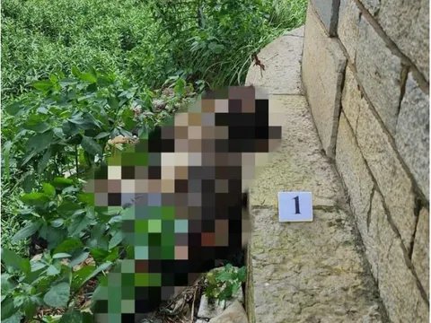 Hà Nội: Phát hiện thi thể nam giới không nguyên vẹn, đã khô dưới chân cầu Long Biên