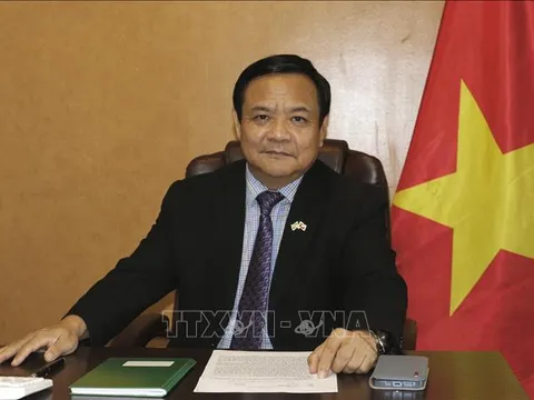 Cột mốc quan trọng hướng tới tầm cao mới trong quan hệ Việt Nam - Brazil