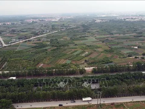 Xử lý dứt điểm tình trạng tranh chấp đất đai tại các công ty nông, lâm nghiệp