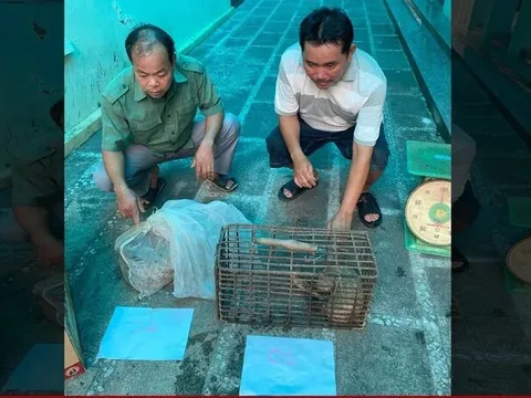 Bắt tạm giam 2 đối tượng mua bán trái phép động vật quý hiếm