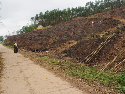 Quảng Ninh: Đánh anh họ tử vong vì mẫu thuẫn trong việc trồng keo