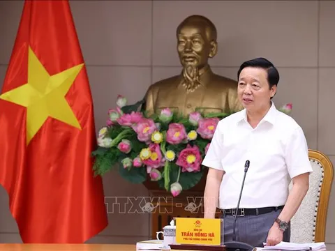 Khẩn trương hoàn thiện Nghị định quy định về tiền sử dụng đất, tiền thuê đất