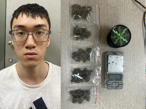 Hà Nội: Tạm giữ hình sự nam thanh niên mua bán cần sa