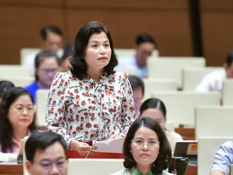 Xử lý nghiêm vi phạm chậm đóng, trốn đóng bảo hiểm xã hội