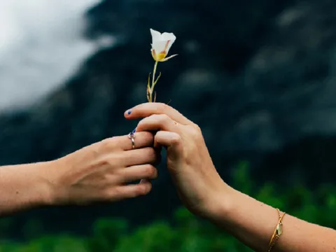 Kỳ vọng rất đau