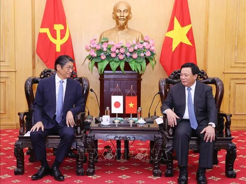 Tăng cường hợp tác Việt Nam - Nhật Bản trong công tác đào tạo, bồi dưỡng cán bộ