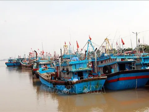Quy hoạch hệ thống cảng cá, khu neo đậu tránh trú bão cho tàu cá đến 2030
