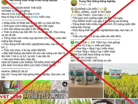 Khởi tố 7 đối tượng lừa bán thóc giống giả chiếm đoạt gần 8 tỷ đồng