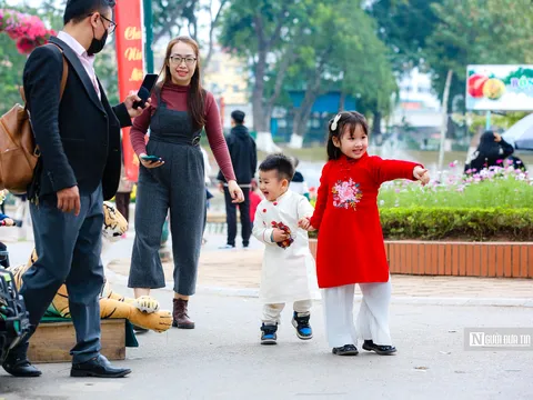 Bộ Y tế đề xuất để cặp vợ chồng tự quyết định sinh bao nhiêu con