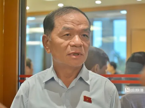 Đồng ý khởi tố, bắt tạm giam, tạm đình chỉ nhiệm vụ ĐBQH Lê Thanh Vân