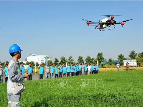 Chỉ thị của Ban Bí thư về đổi mới công tác đào tạo nghề cho lao động nông thôn