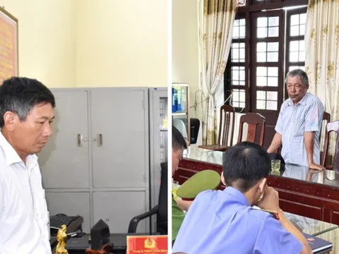 Khởi tố 2 lãnh đạo hợp tác xã ở Ninh Bình vì lừa đảo chiếm đoạt tài sản