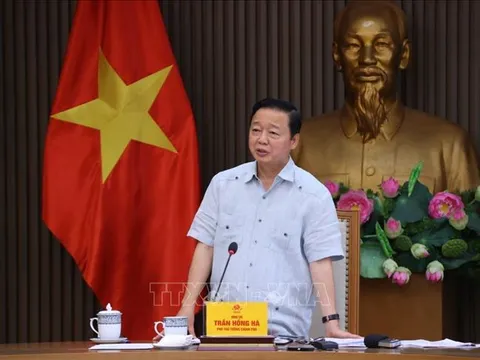 Rà soát chính sách khuyến khích, hỗ trợ chuyển đổi sang phương tiện giao thông xanh