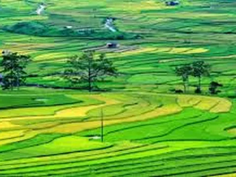 Quy định về trình tự, thủ tục trưng dụng đất