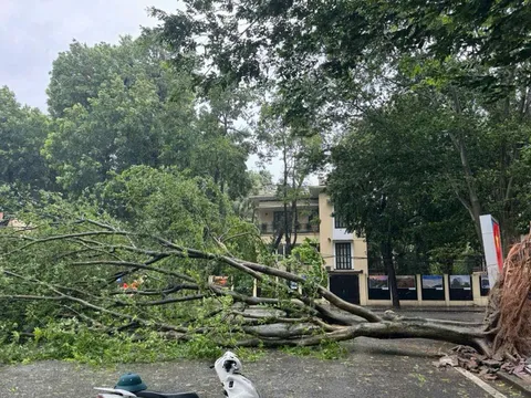 Sẵn sàng lực lượng khắc phục sự cố điện ngay khi bão tan