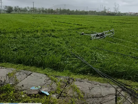 EVN cập nhật thiệt hại hệ thống lưới điện do ảnh hưởng của bão số 3