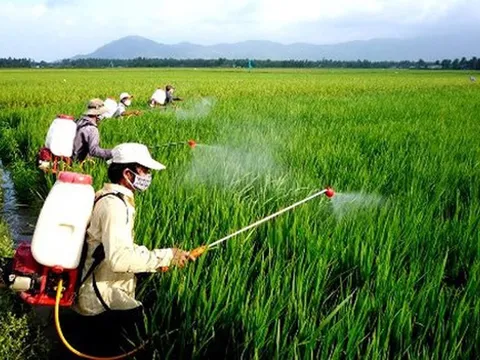 Đề xuất Danh mục thuốc bảo vệ thực vật được phép sử dụng tại Việt Nam