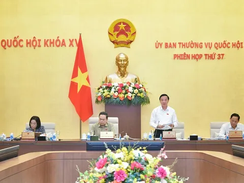 Luật Thuế thu nhập doanh nghiệp (sửa đổi): Thuế suất ưu đãi để đội ngũ doanh nghiệp nhỏ và vừa phát triển