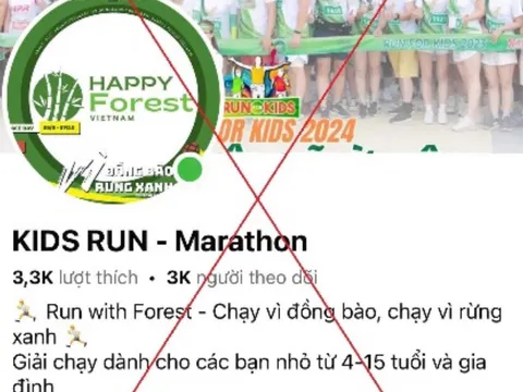 Đăng ký cho con tham gia Giải chạy trên mạng, người phụ nữ bị lừa gần 1 tỷ đồng