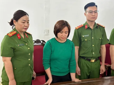 Khởi tố nữ giám đốc làm giả con dấu, tài liệu của cơ quan, tổ chức