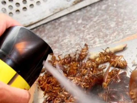 Quy định mới về xác nhận nội dung quảng cáo sản phẩm, hàng hóa, dịch vụ đặc biệt Bộ Y tế quản lý