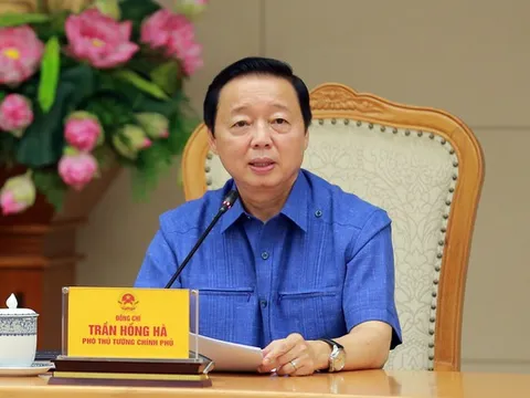 Phó Thủ tướng: Khởi công xây cầu Phong Châu trong tháng 12/2024