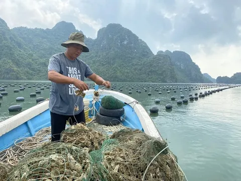 Công điện của Thủ tướng Chính phủ về đẩy mạnh khôi phục sản xuất nông nghiệp sau bão số 3