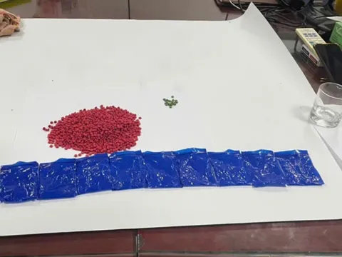 Đột kích ổ nhóm ma túy cộm cán, thu giữ hàng nghìn viên ma túy