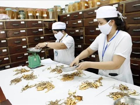 Đa dạng hóa các loại hình dịch vụ, sản phẩm y học cổ truyền
