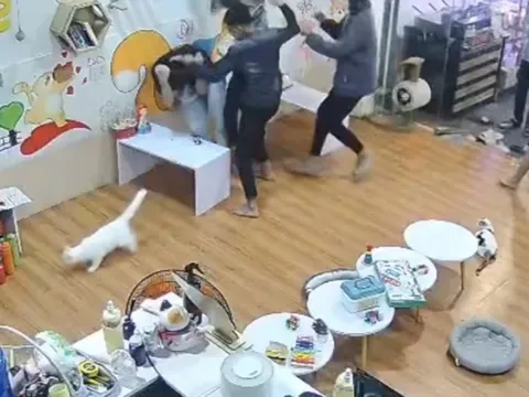 Nhắn tin chúc mừng sinh nhật bạn cùng lớp, nam thanh niên bị đánh hội đồng