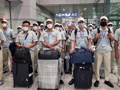 Đưa người đi lao động nước ngoài sẽ bị xử lý như thế nào?