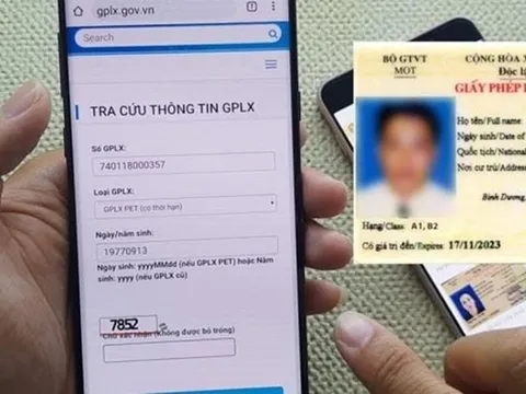 Cách tra cứu Giấy phép lái xe thật hay giả như thế nào?