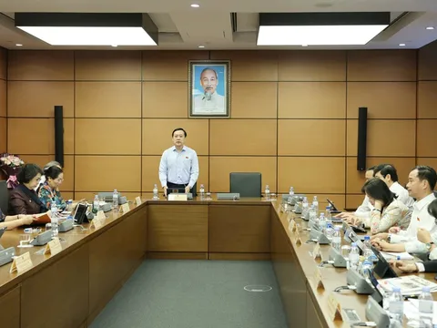 Cân nhắc lộ trình phù hợp tăng thuế tiêu thụ đặc biệt với rượu, bia