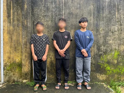 Bắt 3 đối tượng trộm hơn 200 cây sâm Ngọc Linh