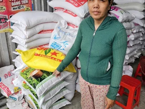 Bắt 'nữ quái' trộm cắp tài sản tại cửa hàng ở Tiền Giang