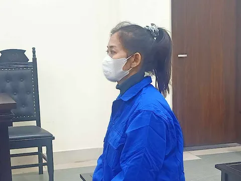 Người phụ nữ buôn bán hoa quả lừa đảo hơn 9 tỷ đồng