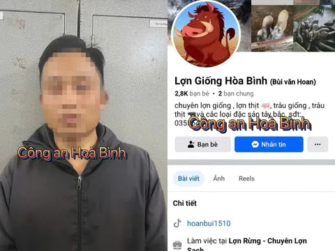 Bắt đối tượng lừa mua bán lợn trên mạng để chiếm đoạt tiền đặt cọc