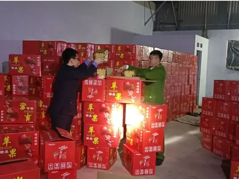 Phát hiện, thu giữ khoảng 11 tấn pháo nổ ở Bắc Giang