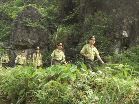 Sửa quy định về Kiểm lâm và Lực lượng chuyên trách bảo vệ rừng